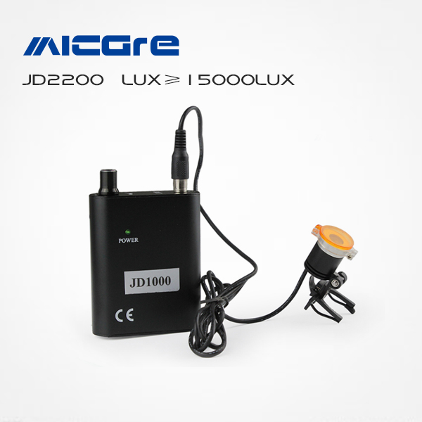 JD2200 portable type LED light